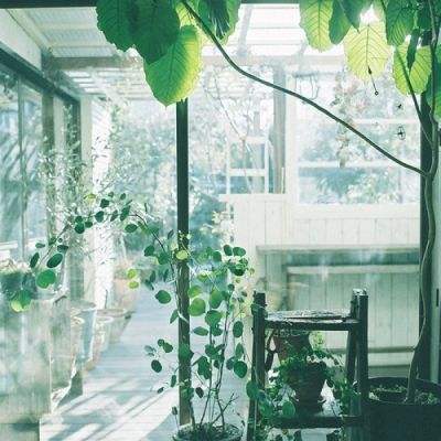 牛牛游戏网手机app下载