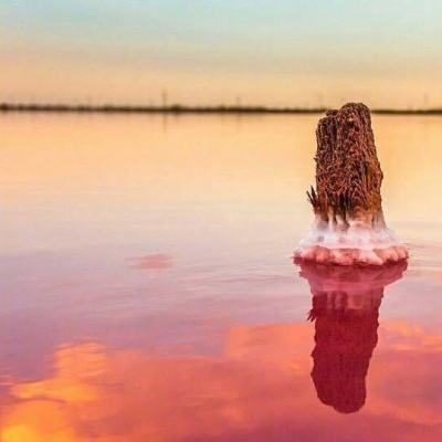 快盈lV购彩大厅下载手机版