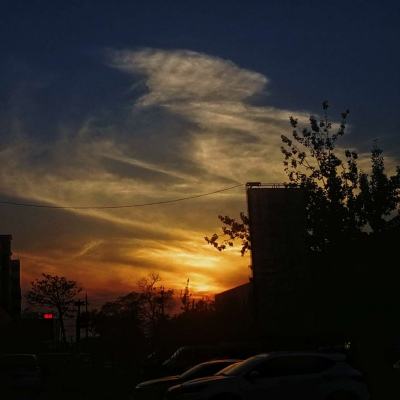 爱体育官方下载手机版