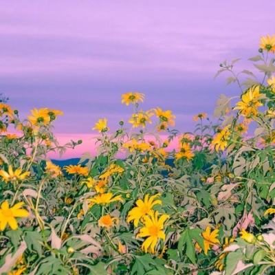 澳门威斯尼斯WNS888入口app下载