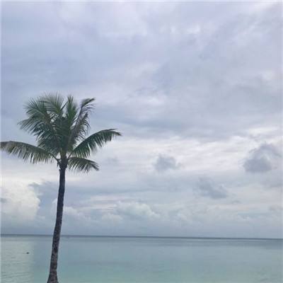 万博·ManBetX手机app下载