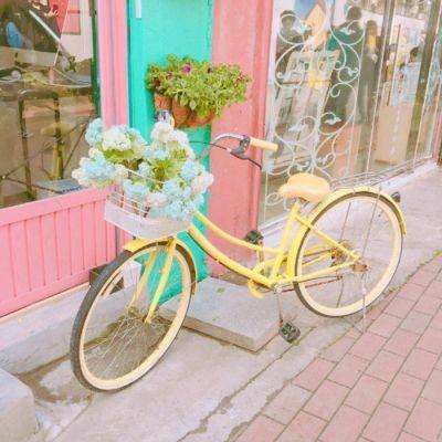 竞彩足球app官方下载安装手机版