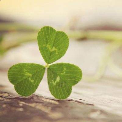 银河国际官网app下载下载手机版