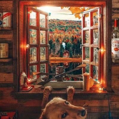 波胆app官网app下载