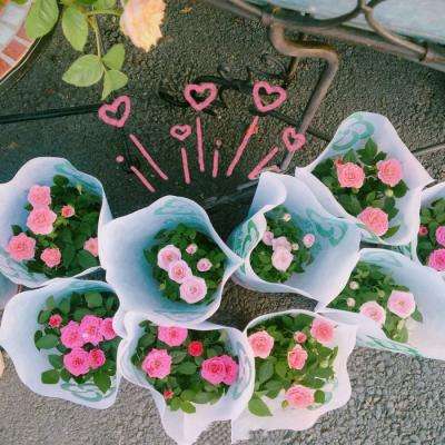 xk星空体育下载