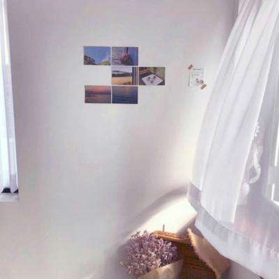 体育竞彩推荐平台app