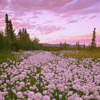 金年会娱乐app官方网站