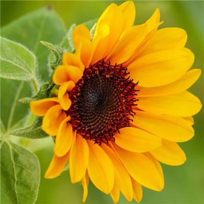 风云体育app下载官网