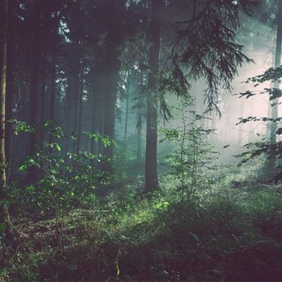 万博·ManBetX手机app下载截图